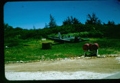 Saipan 1956 Collection, No. 108 Crashed Aircraft 